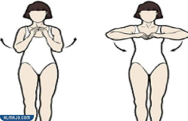 تمرين التسلق بالظهر