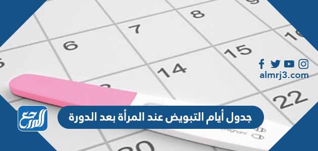 جدول أيام التبويض عند المرأة بعد الدورة