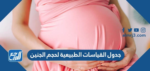 جدول القياسات الطبيعية لحجم الجنين