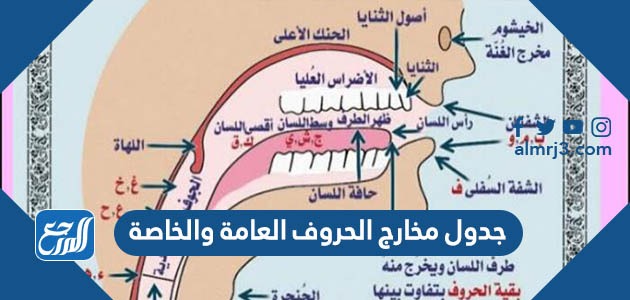 جدول مخارج الحروف العامة والخاصة