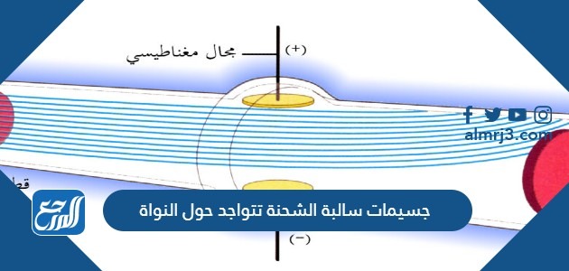جسيمات سالبة الشحنة تتواجد حول النواة