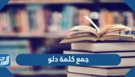 جمع كلمة دلو