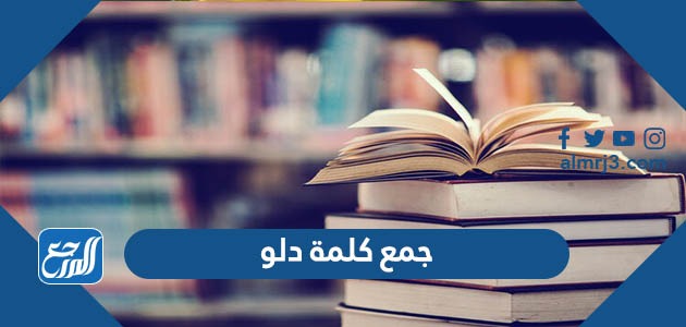 جمع كلمة دلو