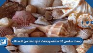 جمعت سلمى ٣٢ صدفه وجمعت منها عددا من الاصداف