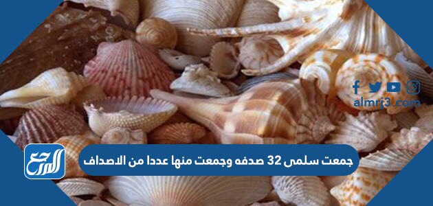 جمعت سلمى ٣٢ صدفه وجمعت منها عددا من الاصداف