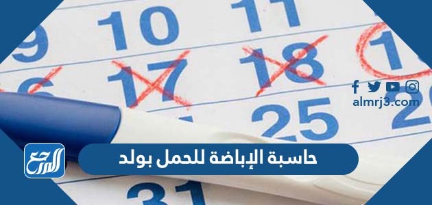 حاسبة الإباضة للحمل بولد
