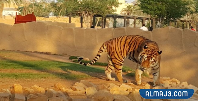 حديقة حيوانات الرياض