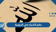 حكم الشرك في الربوبية