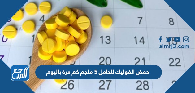 حمض الفوليك للحامل 5 ملجم كم مرة باليوم
