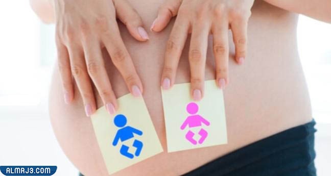 حمل الولد يبان الأول ولا البنت