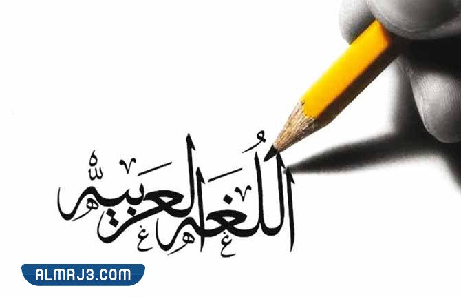 ذات يوم كنت ضجرة ... عند قراءة كلمة ضجرة يتم