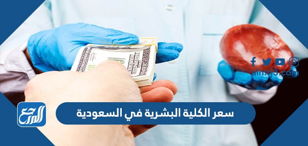 سعر الكلية البشرية في السعودية