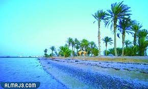 كم تبعد املج عن تبوك