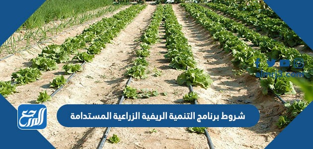 شروط برنامج التنمية الريفية الزراعية المستدامة