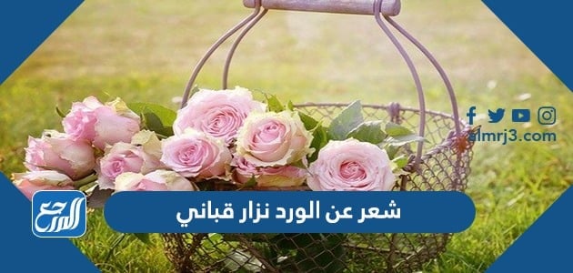 شعر عن الورد نزار قباني