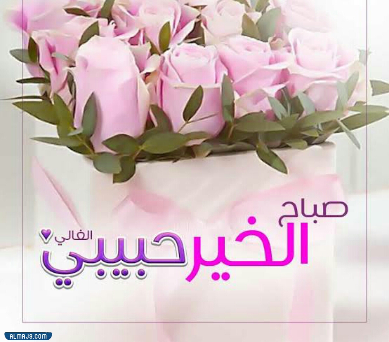 صباح الخير حبيبي