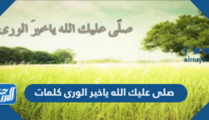صلى عليك الله ياخير الورى كلمات