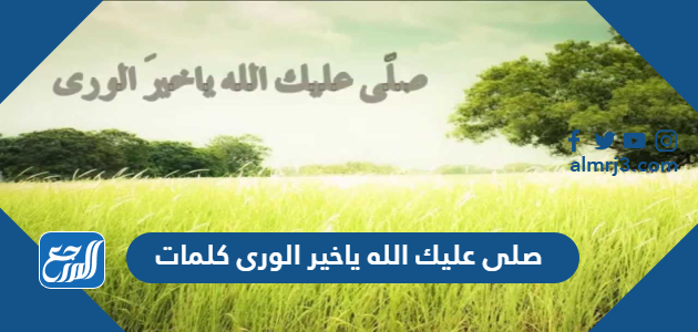 صلى عليك الله ياخير الورى كلمات