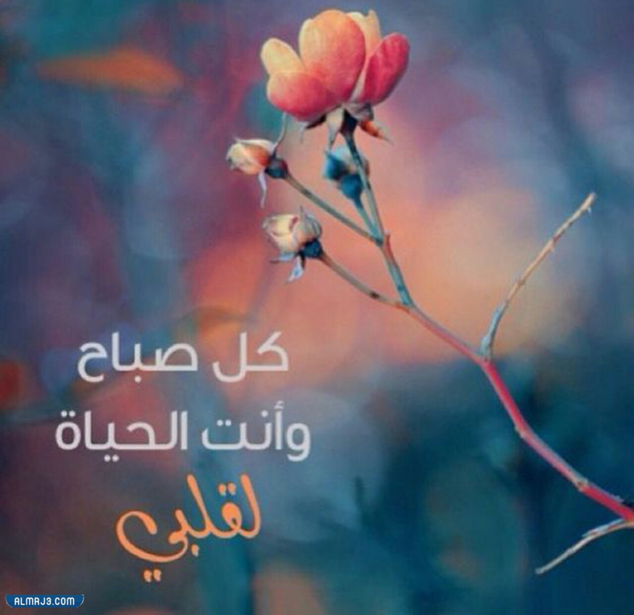 صور صباح الخير للحبيب