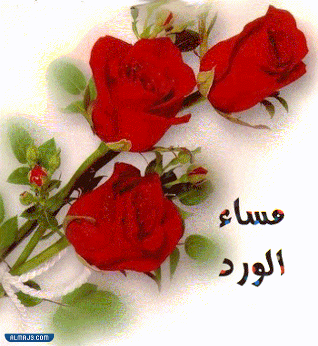 صور مساء الخير متحركة 2022