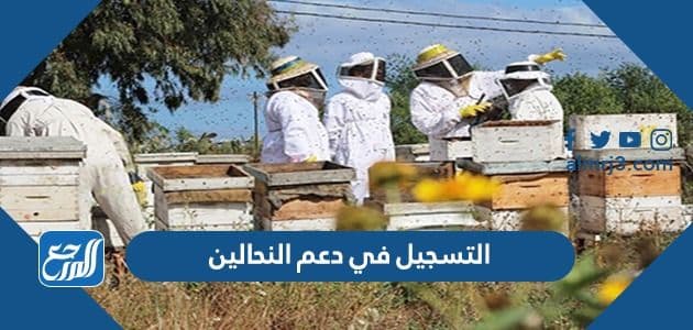 طريقة التسجيل في دعم النحالين 1443 طلب تمويل الدعم المتنقل