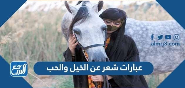 عبارات شعر عن الخيل والحب ، أجمل أشعار كتبت عن الخيل
