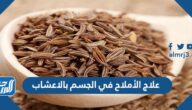علاج الأملاح في الجسم بالاعشاب