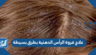 علاج فروة الرأس الدهنية بطرق بسيطة