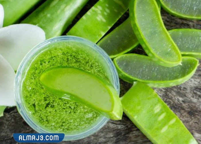 علاجات طبيعية لفطريات الجلد