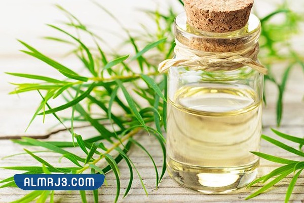 علاجات طبيعية لفطريات الجلد