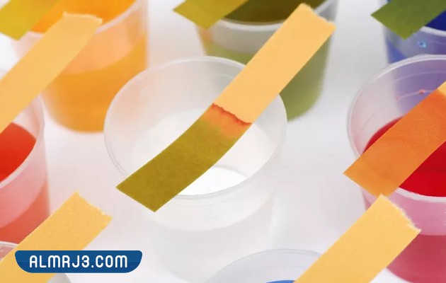 عند الكشف عن الحامض بورقة تباع الشمس يتغير لونها الى