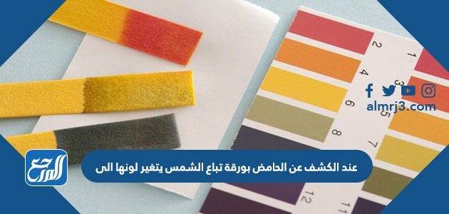 عند الكشف عن الحامض بورقة تباع الشمس يتغير لونها الى عند الكشف عن الحامض بورقة تباع الشمس يتغير لونها الى
