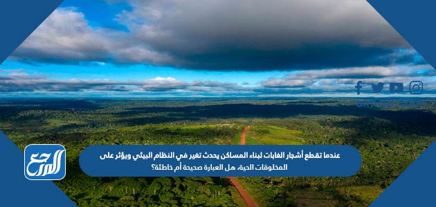 عندما تقطع أشجار الغابات لبناء المساكن يحدث تغير في النظام البيئي ويؤثر على المخلوقات الحية، هل العبارة صحيحة أم خاطئة؟