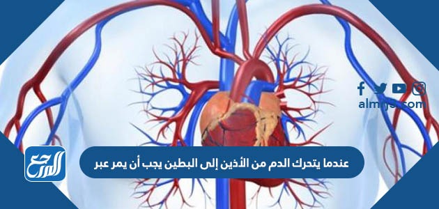 عندما يتحرك الدم من الأذين إلى البطين يجب أن يمر عبر ...................