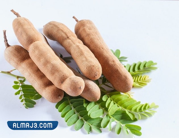 فوائد التمر الهندي للمسالك البولية