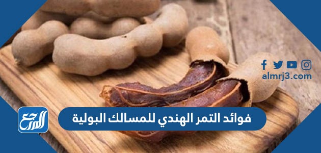 فوائد التمر الهندي للمسالك البولية