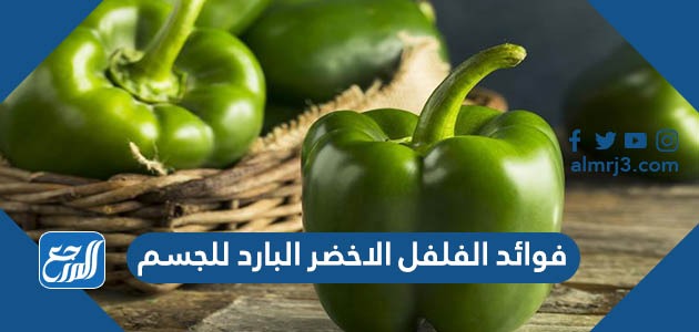 فوائد الفلفل الاخضر البارد للجسم