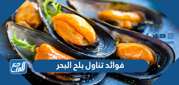 فوائد تناول بلح البحر