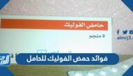 فوائد حمض الفوليك للحامل
