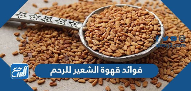 فوائد قهوة الشعير للرحم