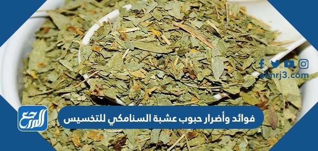 فوائد وأضرار حبوب عشبة السنامكي للتخسيس