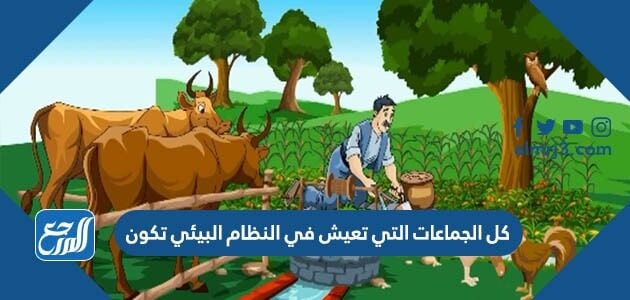 كل الجماعات التي تعيش في النظام البيئي تكون