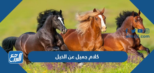 كلام جميل عن الخيل ، عبارات وأقوال عن الخيل