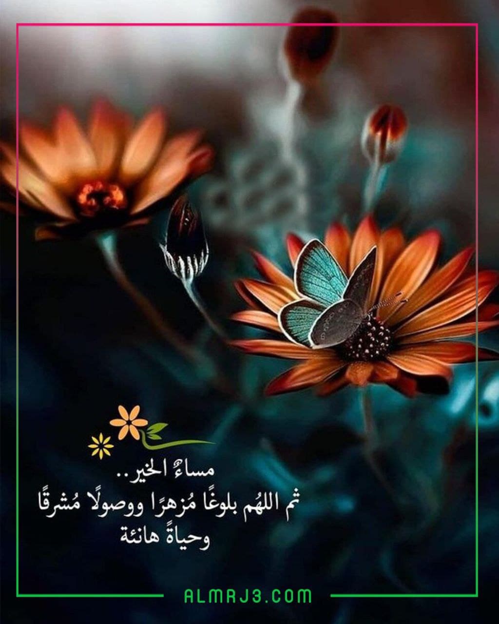 كلمات وخواطر مسائية 2022 بالصور