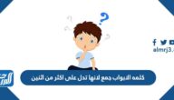 كلمه الابواب جمع لانها تدل على اكثر من اثنين