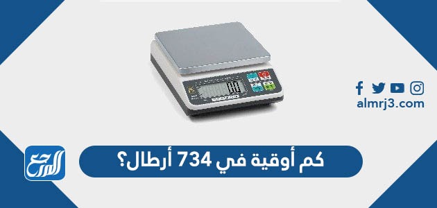 كم أوقية في ٧٣٤ أرطال؟