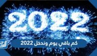 كم باقي يوم وندخل 2022