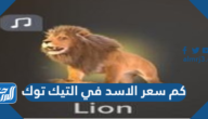 كم سعر الاسد في التيك توك