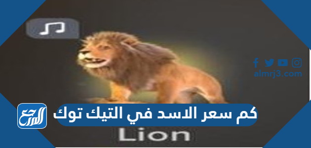 كم سعر الاسد في التيك توك