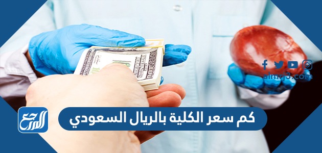 كم سعر الكلية بالريال السعودي